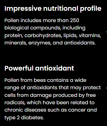 Bee's Knees: Health, Immunity, & Energy